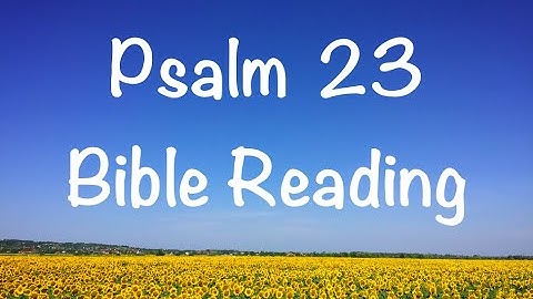 Psalm 23 - NIV Version (Bible Reading with Scripture/Words)