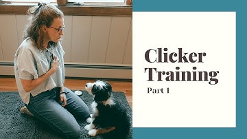 Clicker Training Part 1: Capturing a Good Behavior | Sarah Says Pets