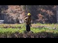 An update on fires in the CSRA and across south Georgia