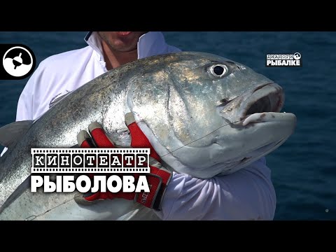 Рыболовное путешествие. Австралия. Часть 3 | Кинотеатр рыболова