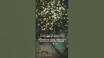 تلاوة جميلة جداً من سورة غافر بصوت القارئ عبدالله بن فيصل البطي🩶.