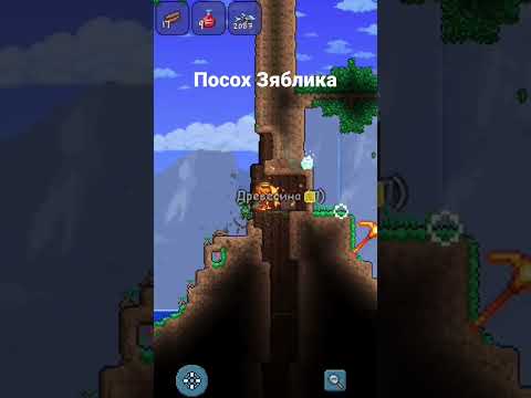 Террария , сид на посох зяблика #terraria #shorts