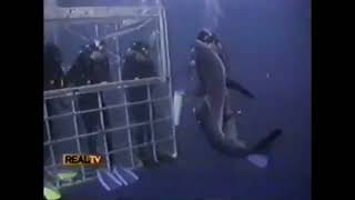 Mako Shark Attacks Deep Sea Diver