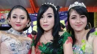 Live CAMPURSARI BALISA// JMS VIDEO SHOOTING//