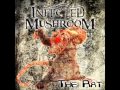 Infected Mushroom - The Rat (HD/Fixed)