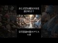 【ASMR】おとぎ話から生まれた幻想的なガラスの武器たち💎🌹 #asmr #ai