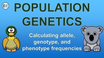 Calculating allele, genotype, and phenotype frequencies | EvolutionExamples
