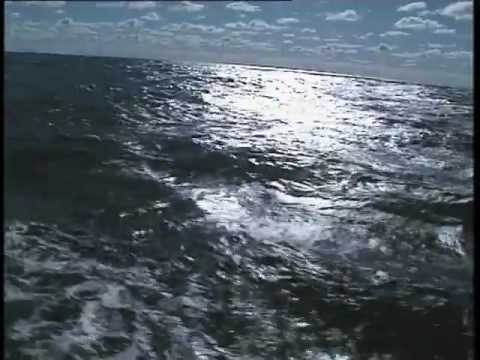 Килька балтийская пряного посола Килька балтийская пряного посола