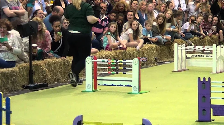 Rabbit Show Jumping at the London Pet Show 2014