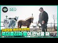 Everyday Joong 65화 - 제주동물농장