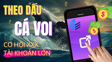 CƠ HỘI X TÀI KHOẢN LỚN / CHECK VÍ DEV CÁ MẬP CÁ VOI MUA COIN NÀO? - TIPS CRYPTO