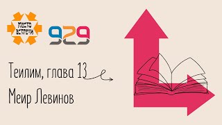 Книга #Теилим гл. 13. Лектор: Меир Левинов