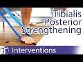 Tibialis Posterior Strengthening | Flat Feet Exercise