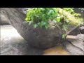 সোনাইছড়ি ট্রেইল সীতাকুণ্ড চট্টগ্রাম