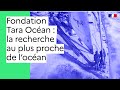 Fondation tara ocan  la recherche au plus proche de locan