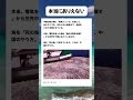 #高市早苗 #自民党 #税金 #政治