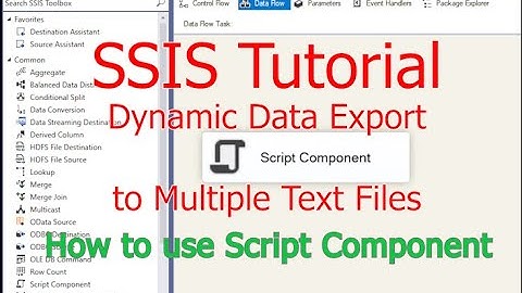 SSIS Tutorial - How to use Script Component dynamically export data to multiple text files.