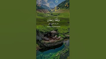 #اكسبلور #راحة_نفسية #تيك_توك #حالات_واتس  قران كريم