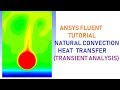 ANSYS Fluent Tutorial: Natural Convection Heat Transfer 2D Transient Analysis on a Solid Cylinder