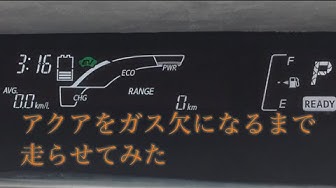 アクア Youtube