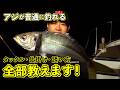 田辺湾でバチコンアジング!美味しいアジが連続ヒット!(四季の釣り/2026年2月20日放送)