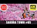 [4K 360°] Sakuranomiya ( PART 05 ): Sakura Town - WALK UNDER CHERRY BLOSSOMS || JAPAN 360