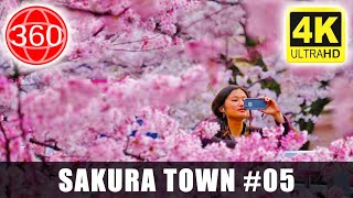 [4K 360°] Sakuranomiya ( PART 05 ): Sakura Town - WALK UNDER CHERRY BLOSSOMS || JAPAN 360