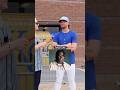 Rate the Kansas City Royals’ walk-up songs…👀🤣🔥#shorts