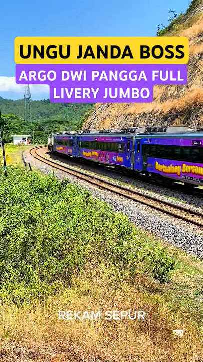 RAILFANS FULL SENYUM KERETA ARGO API DWI PANGGA FULL LIVERY JUMBO #keretaapi #trending #shorts