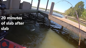 Dock shooting time is here! 20 minutes of huge spawning crappie under docks! April 2022!