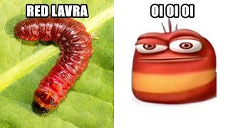 Red Lavra meme 4 moods