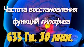 Частота восстановления  функции гипофиза 625 Гц 30 мин.