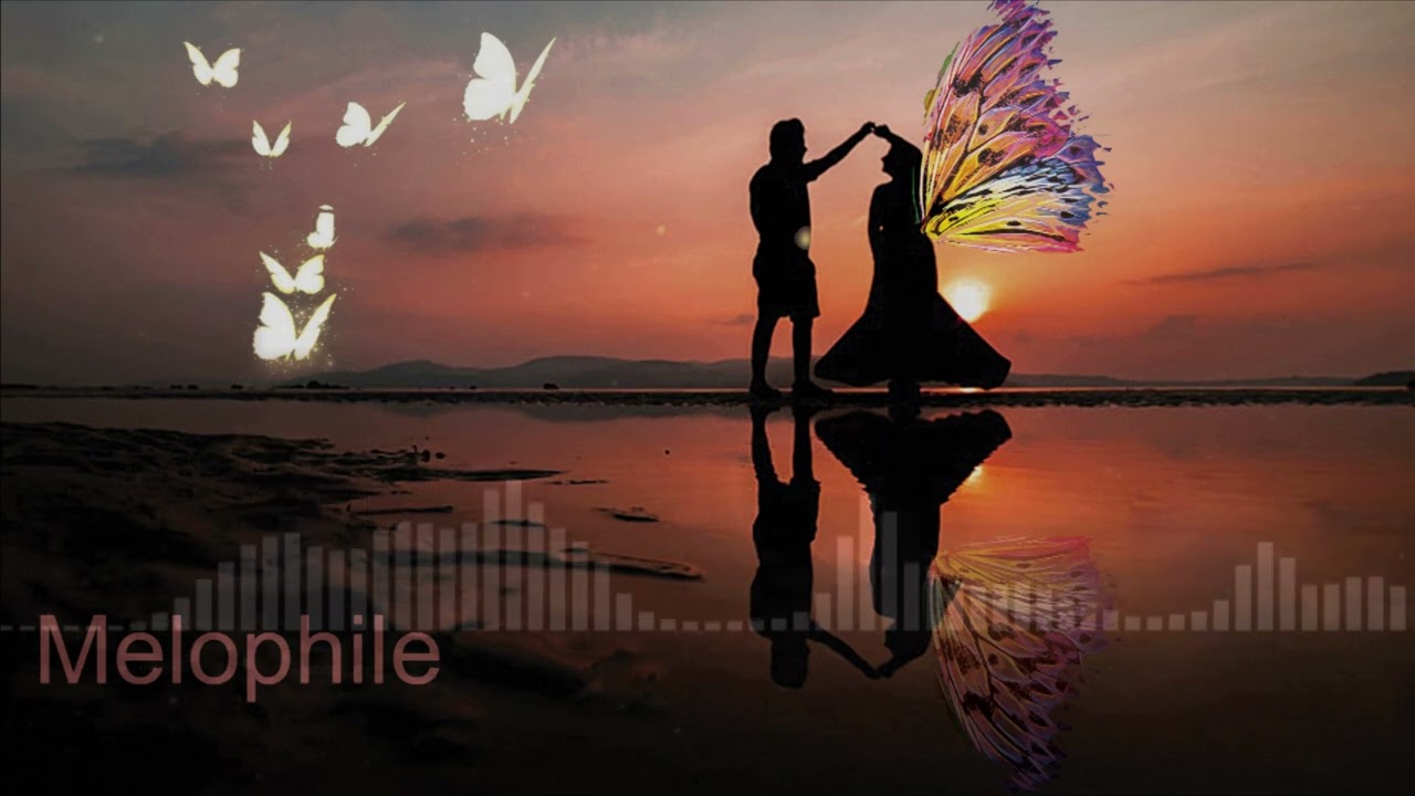 Melophile | Lost In!