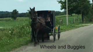 Do Amish use Steel Wheels on Buggies // Amish buggies and wheels