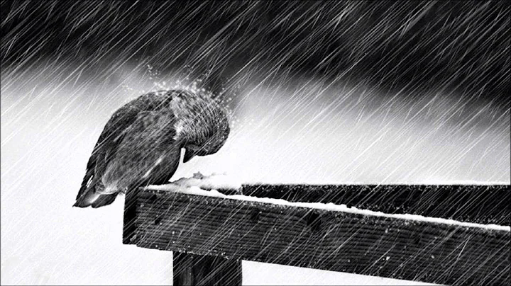 Cold - Jorge Mendez (1 Hour Mix with Subtle Rain) ...