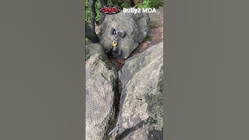 Vertical Drop and Vertical Climb Bully2 MOA