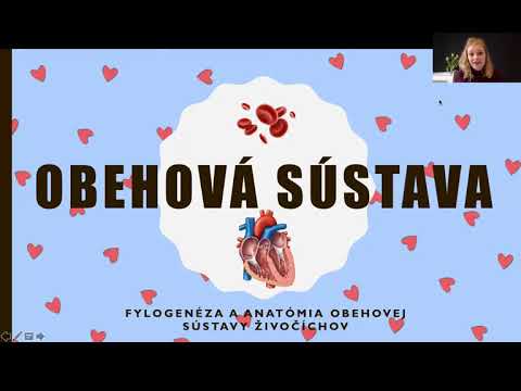 Obehová sústava