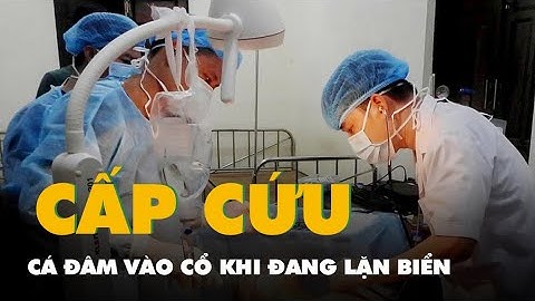 Ngư dân bị cá kìm đâm vào cổ khi đang lặn biển