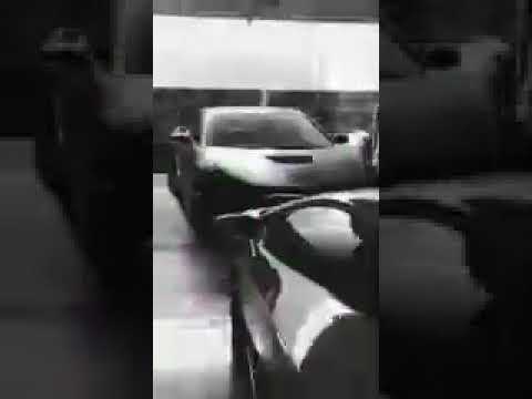 محمد شيخ احلا غنية ويلي بعد عيني يا سوري 