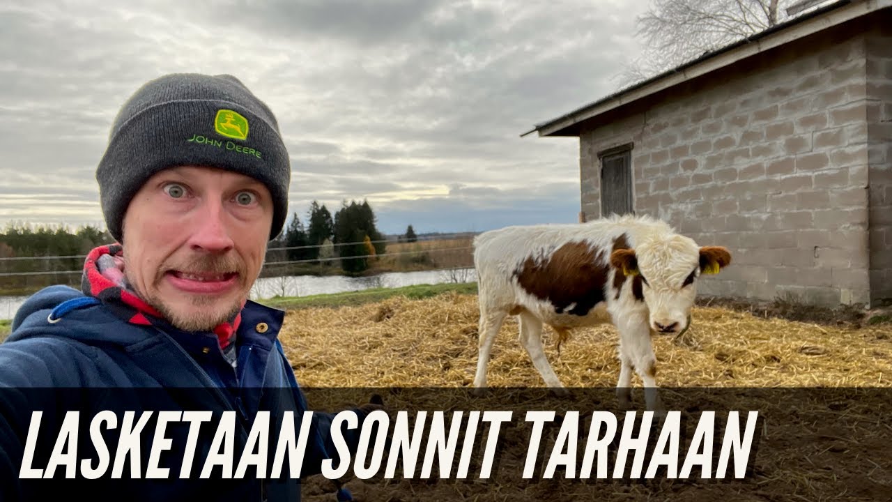 Lasketaan sonnipojat tarhaan