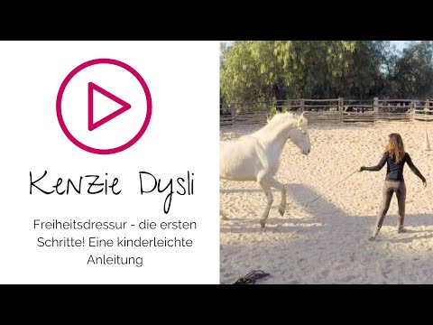 Freiheitsdressur lernen mit