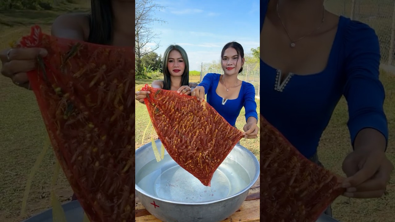 How to cook food crispy recipe with chili sauce