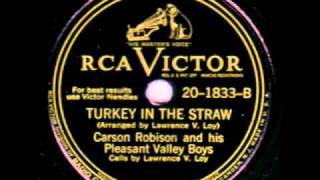 Turkey In The Straw - Loy