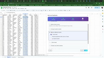 Duplicates Remover Demo