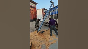 Grain Auger Conveyor for Loading