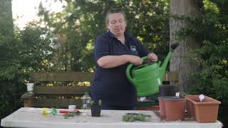 Propagating From Cutting