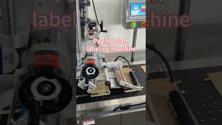Automatic Paging Labeling Machine | Flat Pouch & Bag Labeling Solution