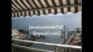 APARTMENT RENTAL TENERIFE АРЕНДА АПАРТАМЕНТОВ НА ПЛЯЖЕ 0046(, 2013-02-19T01:54:30.000Z)