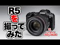 【Canon】キヤノンR5「を」ガチで撮ってみました。（暇つぶし推奨）