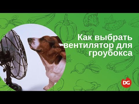 №9 Как выбрать вентилятор для гроубокса